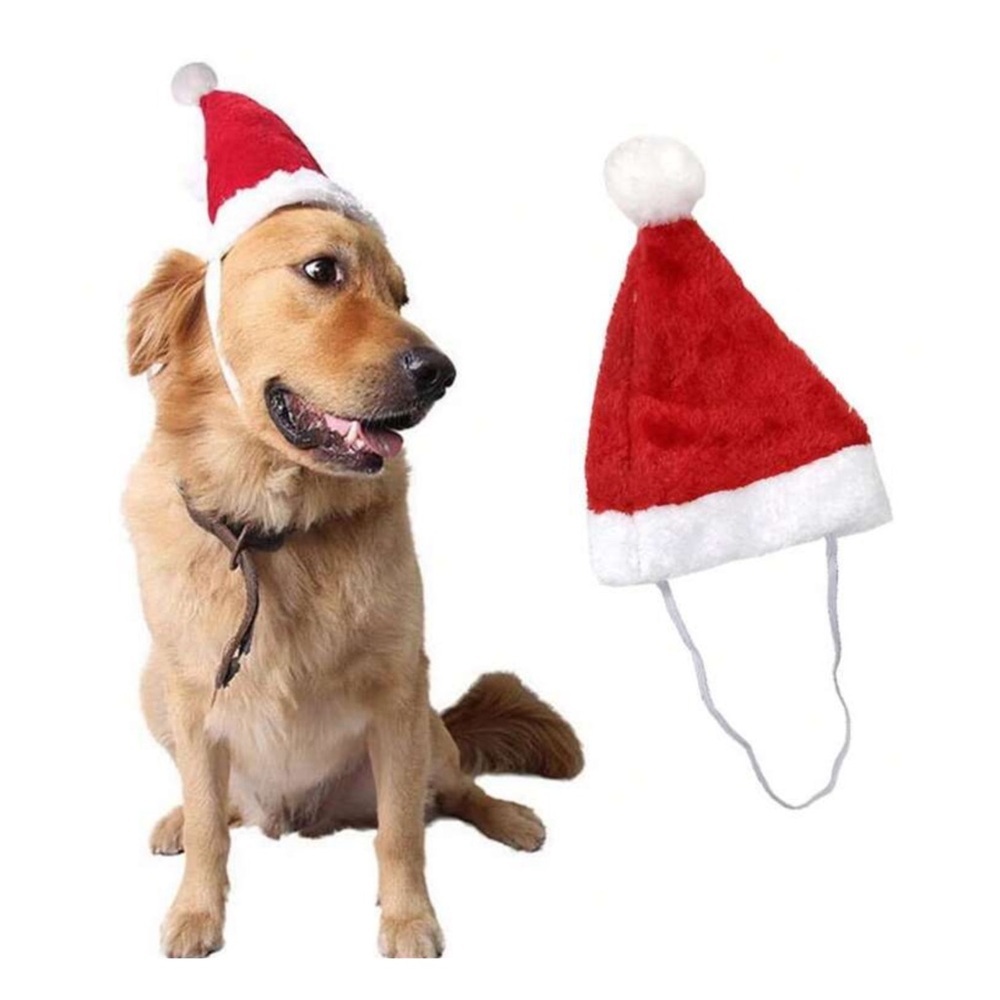 Dog Santa Hat